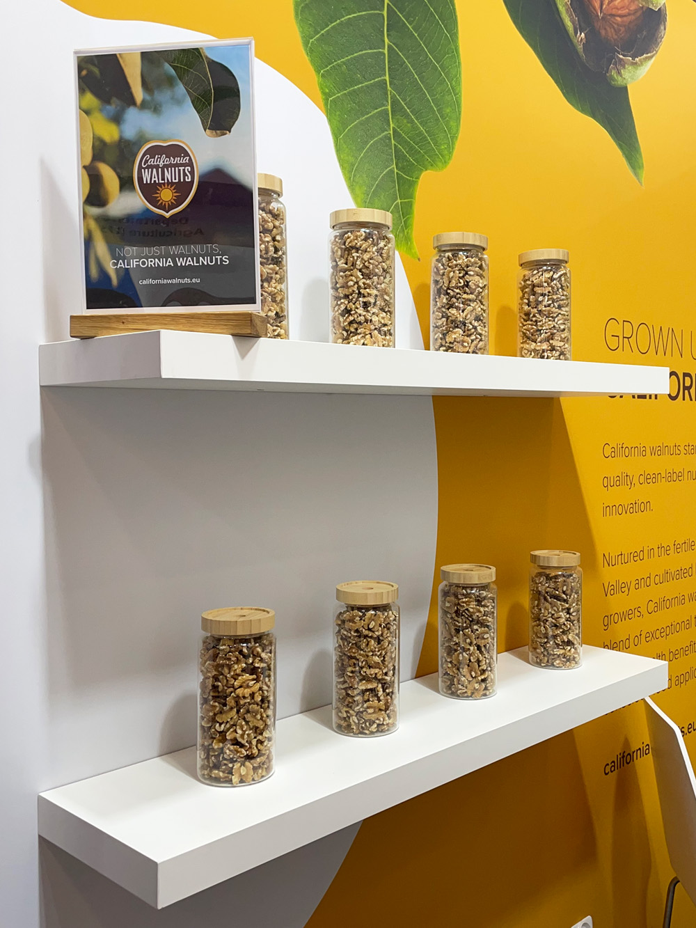 Two shelves with storage jars filled with California walnuts.