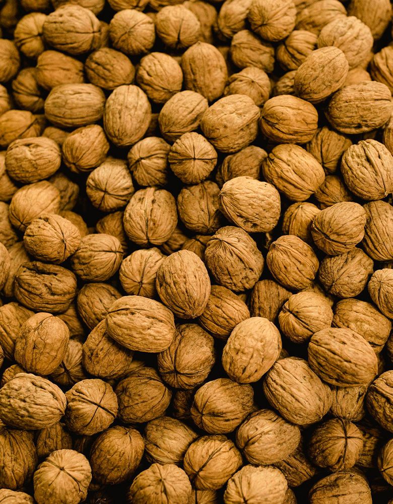 US tree nuts Europe's most important trade partner